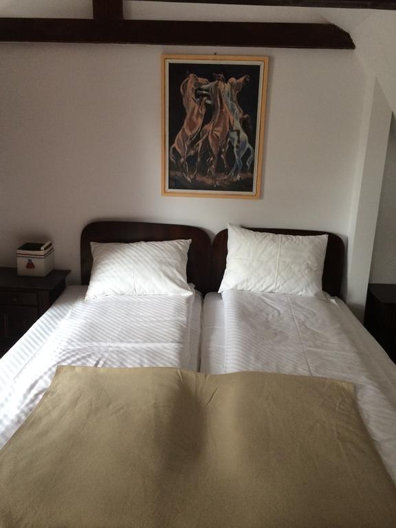 La Mos Pavel Hotel Noslac Екстериор снимка